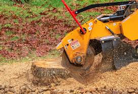 How Our Tree Care Process Works  in  Williamsville, NY